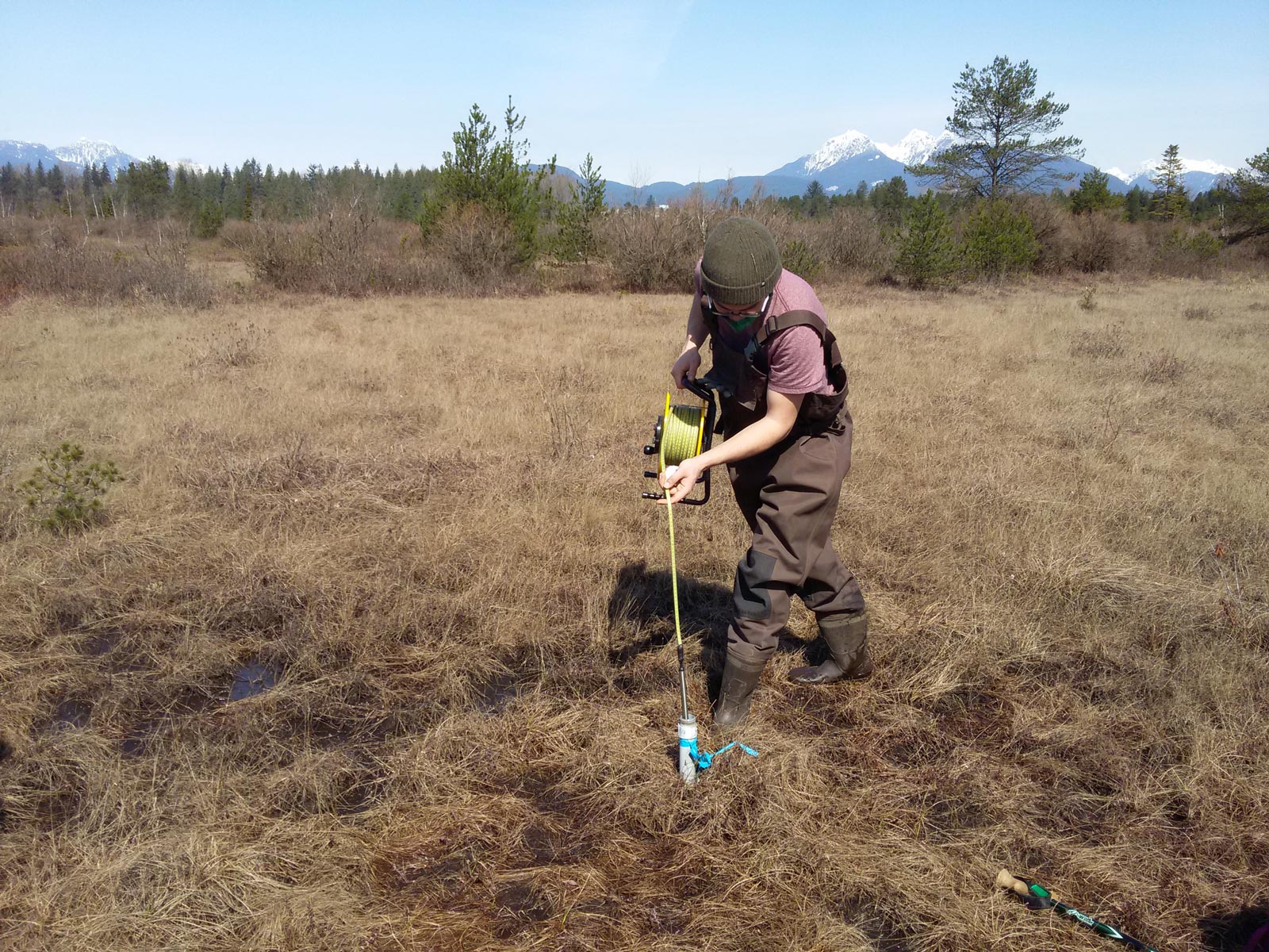 As part of its monitoring program, the LEPS Wetland Crew installs and checks water level meters in Metro Vancouver parks. (Photo: Langley Environmental Partners Society)