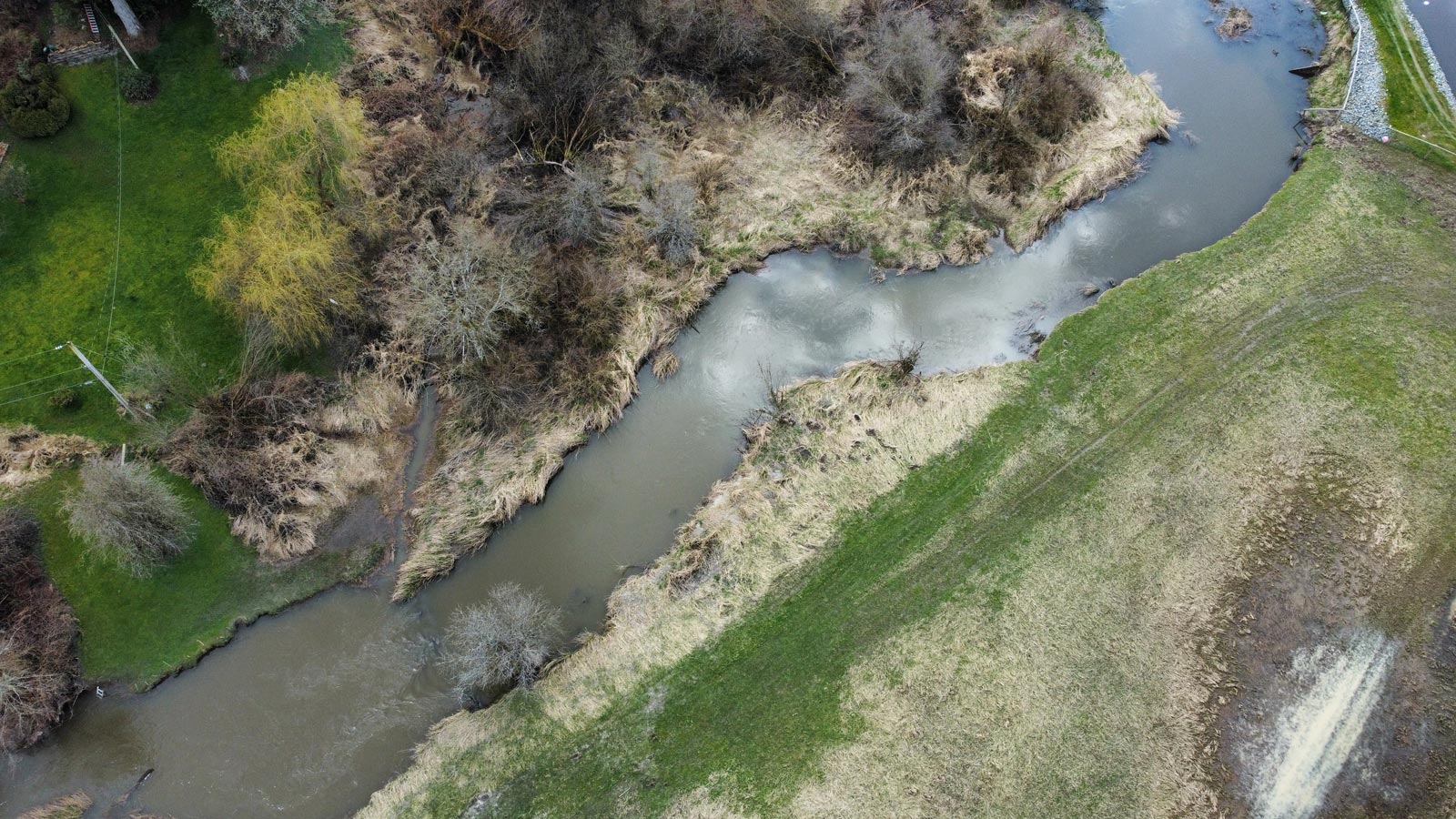 Riparian zones, which run between the shore and the upper banks of a river or stream, provide important habitat and help to control erosion. When these lands are healthy and connected through a corridor, they can support healthy, inclusive food systems. (Photo: Nerv Productions)