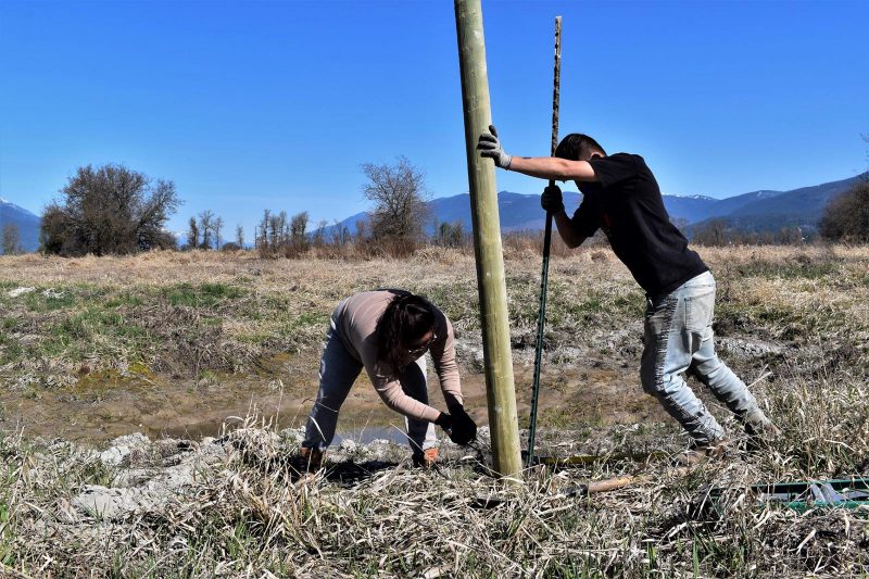 Wetlands Workforce crew members, Aila and Warren, are helping to install 35 poles, cameras and audio recorders for the Wildife Monitoring Program at the Yaqan Nukiy Site (Photo: Cheyenne Bergenhenegouwen)