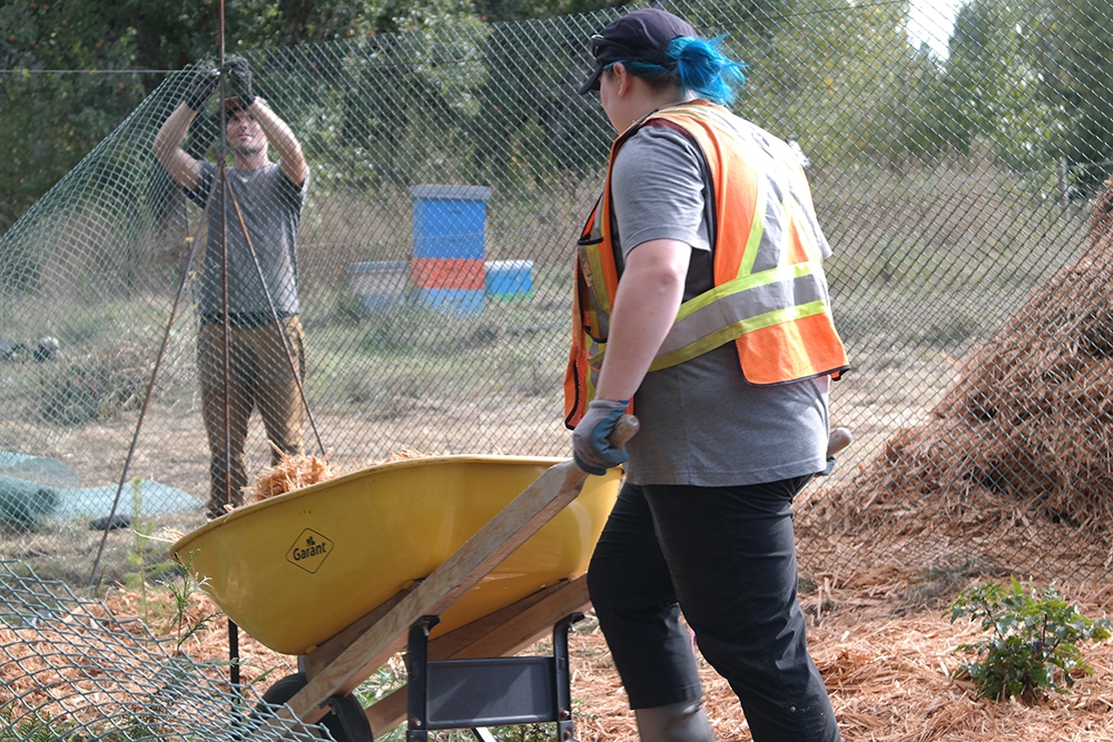 woman in an orange safety vest pushing a wheelbarrow of wood shavings towards restoration site