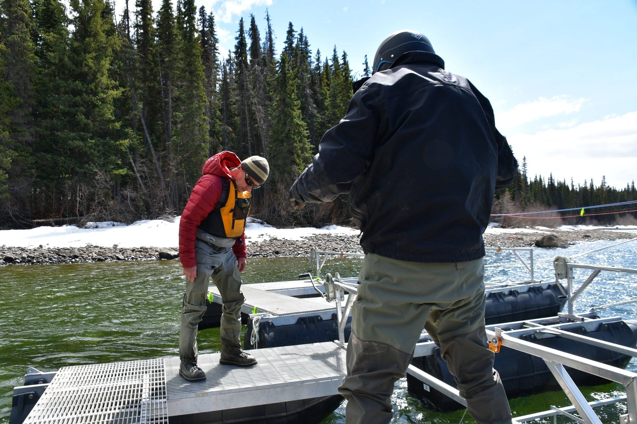 A Small Piece of the Puzzle: Monitoring Juvenile Salmon to Sustain the ...