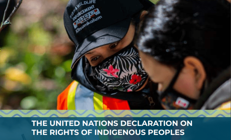 indigenous-peoples-day-what-does-advancing-undrip-mean-for-healthy