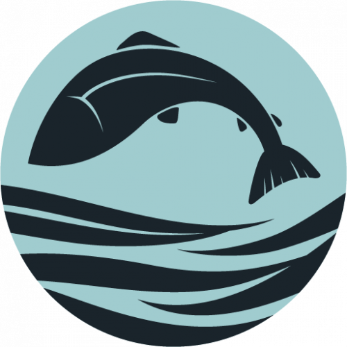 Healthy Watershed Initiative Icon